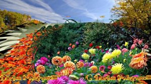 С Днём Рождения!!! Осенняя сказка 1!!!