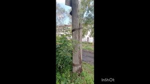 Вчера днём,подсыпали всю нашу дорогу,и сегодня ночью прошёл хороший сильный ливень и💦 дождь.! И 👎!