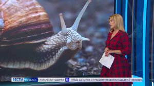 В СИЗО вместо музея, бьюти-слизь и равнение на нулевые: обзор новых трендов из соцсетей