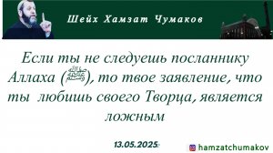 Если ты не следуешь посланнику Аллаха (ﷺ), то твое заявление, что ты  любишь своего Творца-ложь.