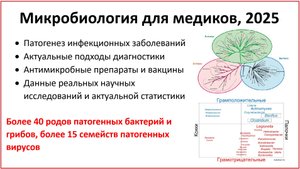 Микробиология для медиков (2025): добро пожаловать на курс