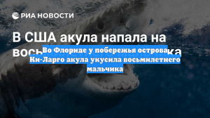 Во Флориде у побережья острова Ки-Ларго акула укусила восьмилетнего мальчика