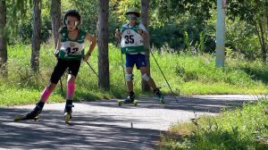 Чемпионат и первенство области по лыжным гонкам (лыжероллеры)