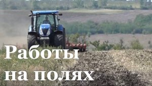 В одном из хозяйств Старобельского района собрали 1,5 тысячи тонн пшеницы