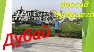 Небольшая экскурсия по GREEN PLANET - Дубайский зоосад, расположенный в районе City Walk