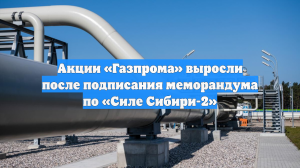 Акции «Газпрома» выросли после подписания меморандума по «Силе Сибири-2»