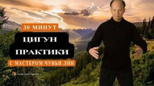 Ци02-07 Пять базовых элементов с основателем школы Цигун Весеннего Леса Чуньи Лин. День 4 из 5