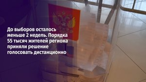 55 тысяч жителей региона приняли решение голосовать дистанционно