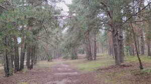 Не решаемся написать заявление на увольнение