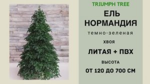 Triumph Tree - ОБЗОР искусственной ели Нормандия темно-зеленая