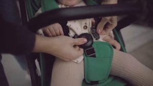 Коляска Anex Air-x  презентация