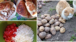 Готовим пирожки и заготовки на зиму. Выкопали картошку