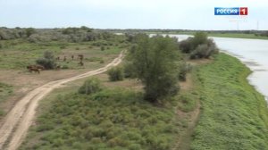 "Актуальный репортаж" (на ногайском языке)