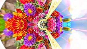 Осень!!! Осенние Цветы 5!!! Очарование осени!!! Осенняя Краса!!! Осенним женщинам!!!