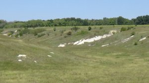 красивая природа деревни и села белгородской области самостоятельные поездки