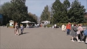 Не дачный влог/Немного болтушки/Едем в зоопарк/