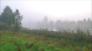 Немного солнца и тумана.mp4