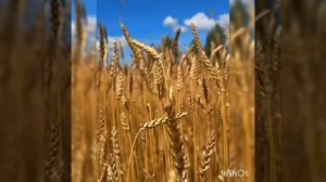 Потом меня любить не надо