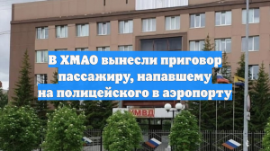 В ХМАО вынесли приговор пассажиру, напавшему на полицейского в аэропорту