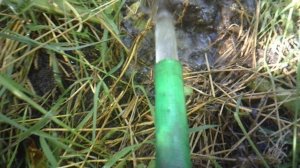 Размывание дополнительного тыквенного укоренения и обзор результатов