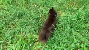 Вышли на улицу.