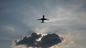 Авиакомпания «Ангара» может прекратить полеты