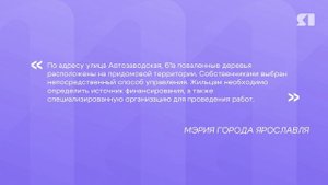 В мэрии прокомментировали ситуацию с поваленными на улицах Ярославля деревьями