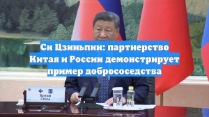 Си Цзиньпин: партнерство Китая и России демонстрирует пример добрососедства