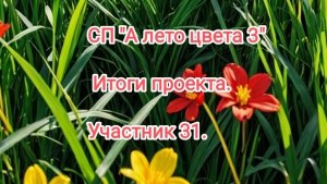 Итоги СП"А лето цвета 3" с Людмилой Красноперовой. Участник 31.