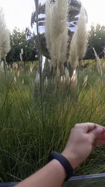 Парк Галицкого / парк Краснодар смотреть онлайн