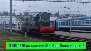 Маневровый тепловоз ЧМЭ3-1529 на станции Жлобин-Пассажирский