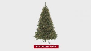 Как установить елку Triumph Tree с лампами - Bristlecone (Hinged)