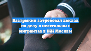 Бастрыкин затребовал доклад по делу о нелегальных мигрантах в ЖК Москвы