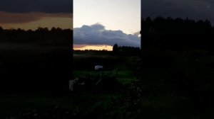 Где старица реки подковой изогнулась lv_0_20250811121913