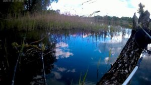 РЫБНАДЗОР + видео на ХУТОРЕ