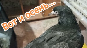 03-09-2025. Вот и осень...