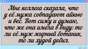 Анекдоты для поднятия настроения