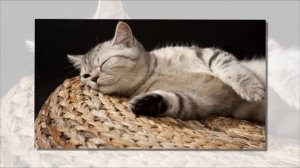 Moments Of Life 179 (Vocal - Chill Mix)