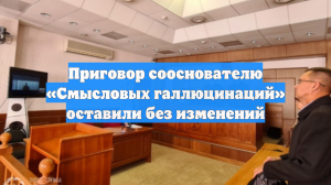 Приговор сооснователю «Смысловых галлюцинаций» оставили без изменений