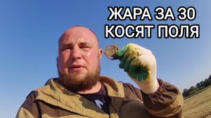 Исследую поле на находки:Жара за 30