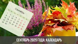 2025\2. СЕНТЯБРЬ ВОЛНЕНИЙ И ТРЕВОГ: ПОГОДА, ПОЛИТИКА, СЕМЬЯ В СТРЕССЕ. Прогноз А.РОЖИНЦЕВА