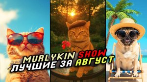🔥 Приколы с котами и собаками ОТ Murlykin Show 😂 Подборка смешных животных №3 ☺️ Лучшие за Август