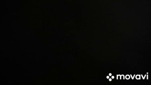 MovaviClips_Video_20250901-023717.mp4