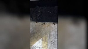 Уничтожение клопов Реутов

📞+7-912-243-00-02 или пишите в месенджеры