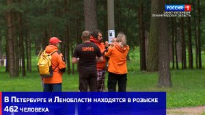 В Петербурге и Ленобласти находятся в розыске 462 человека