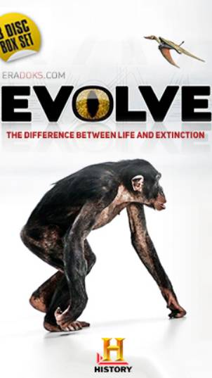 Эволюция. Битва за жизнь «Кожа» смотреть онлайн