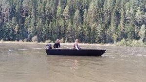 Сибирячка 430 И болотоход-весло 20л.с