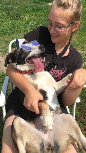 Вести Тамбов "Путь домой"!