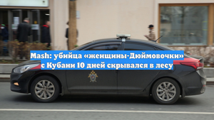 Mash: убийца «женщины-Дюймовочки» с Кубани 10 дней скрывался в лесу