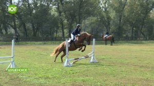 День лошади в конном клубе «Эквитерра»: праздник дружбы человека и животного